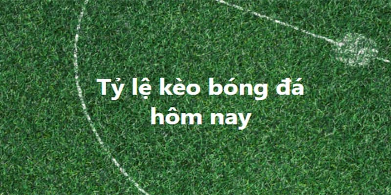 Tỷ lệ kèo nhà cái hôm nay vì sao quan trọng?