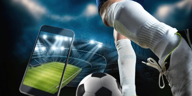Quan soi kèo bóng về vai trò trong cá cược thể thao
